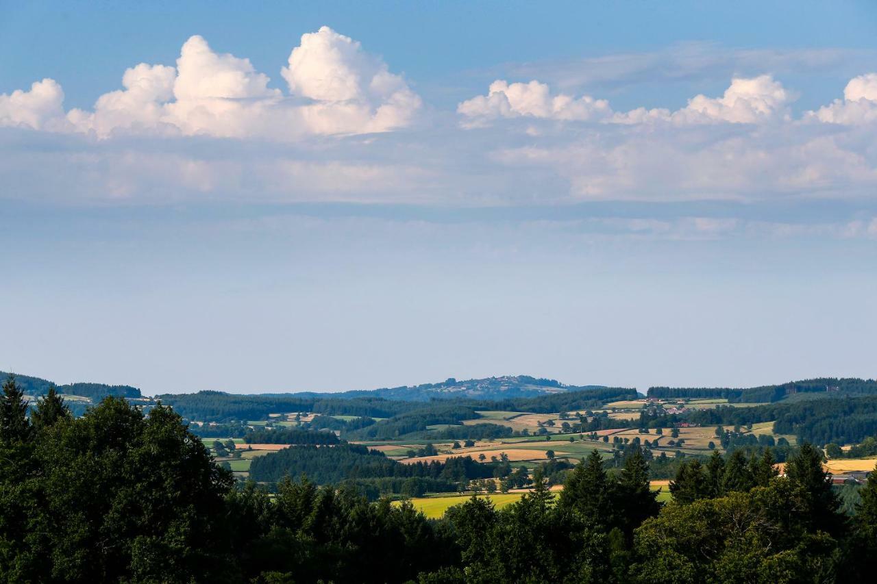 Вілла Les Perruchons Ancienne Grange Renovee Avec Soin Ozolles Екстер'єр фото
