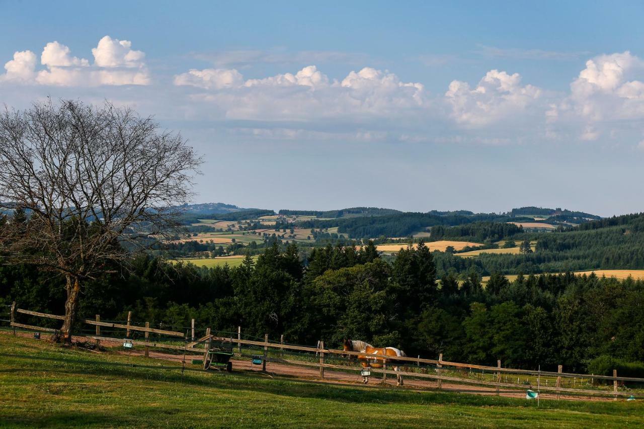 Вілла Les Perruchons Ancienne Grange Renovee Avec Soin Ozolles Екстер'єр фото